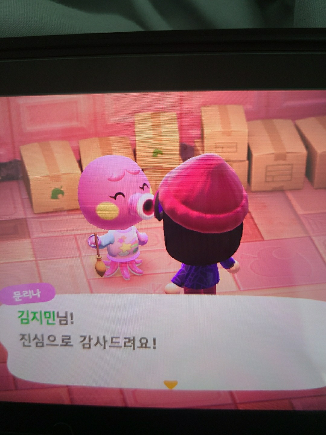 동물의숲