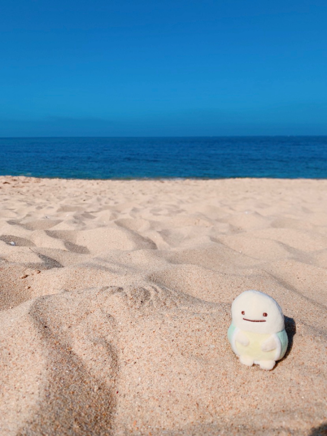 고향이 그리운 부기부기🐢