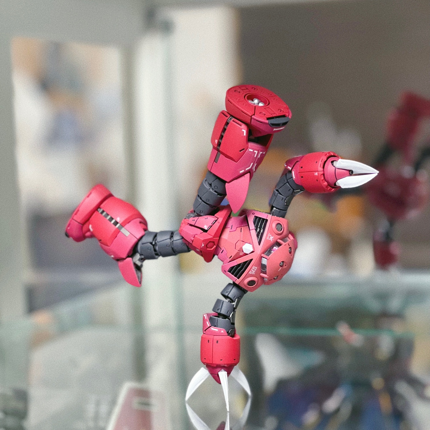RG 즈곡크 (샤아전용)
