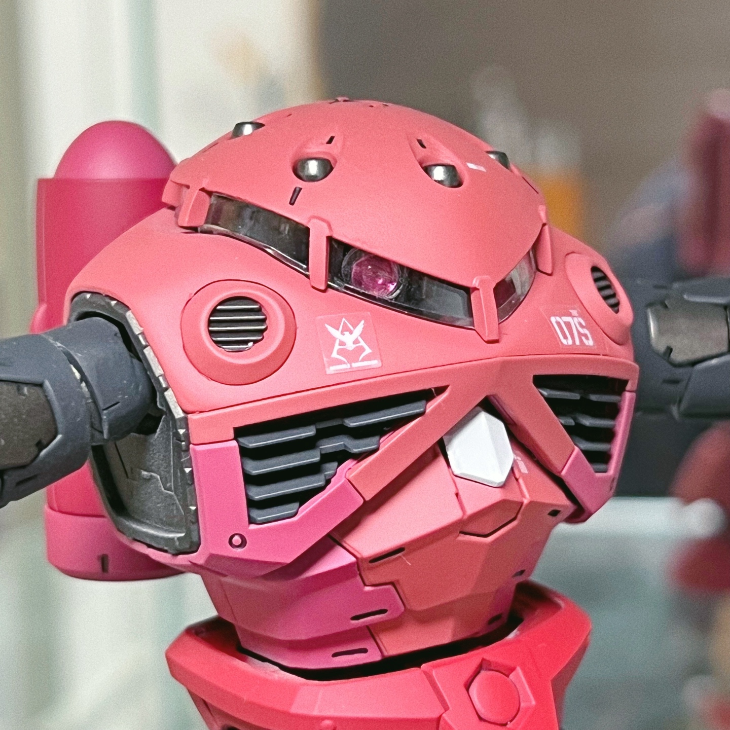 RG 즈곡크 (샤아전용)