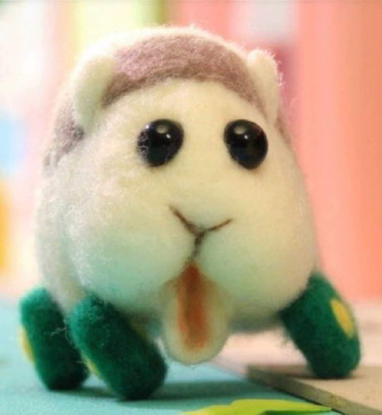 모루카들💖💖