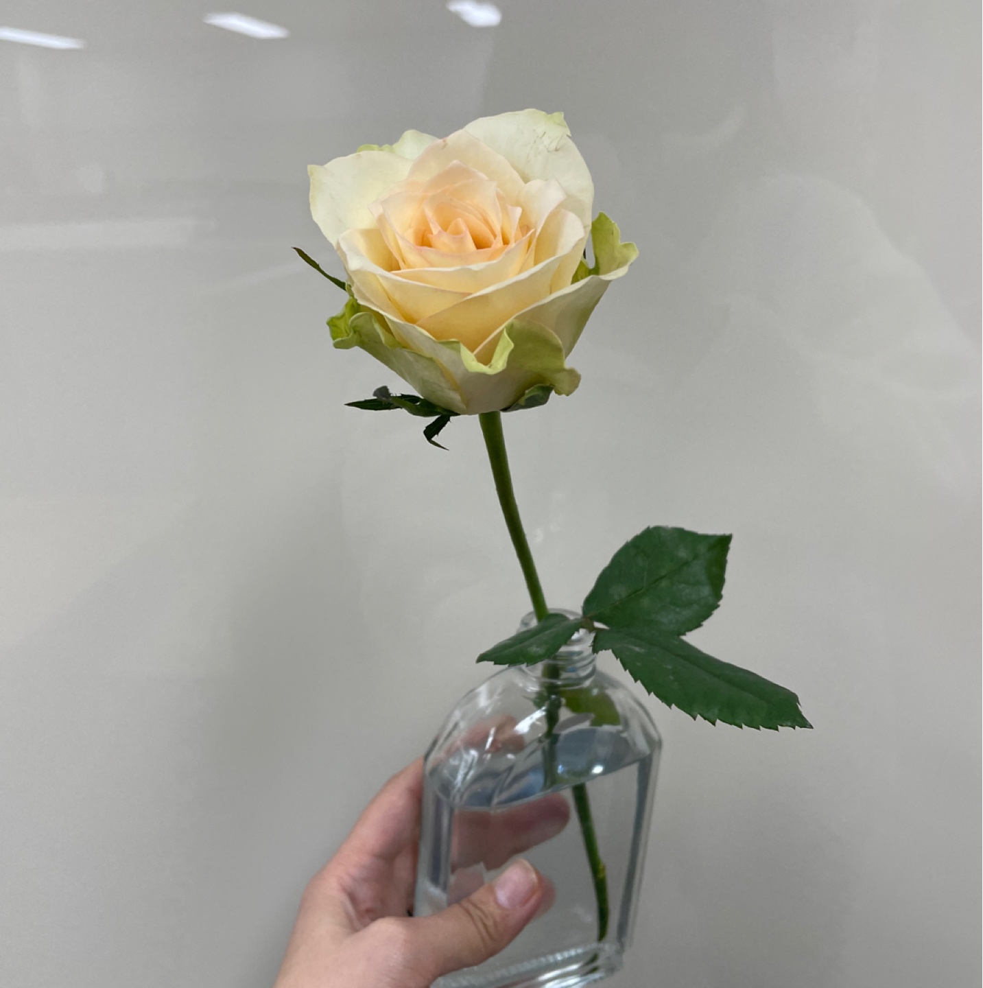꽃을문남자
