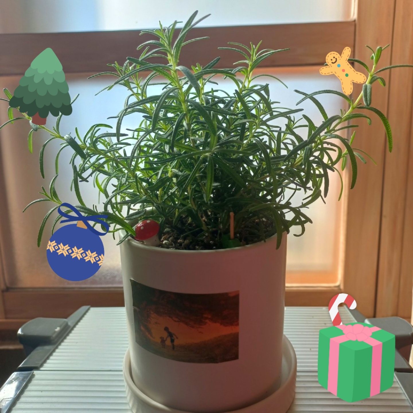 로즈마리🌿