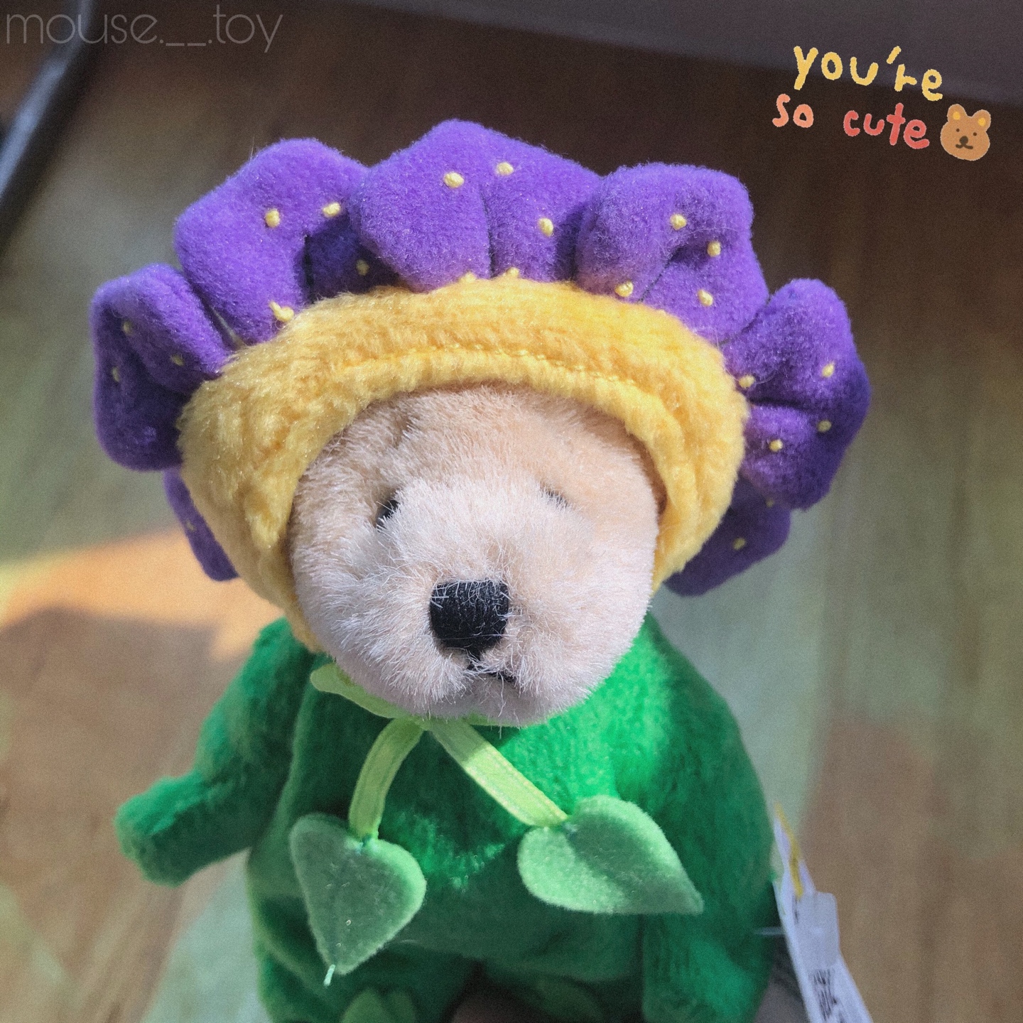 콩눈 곰돌