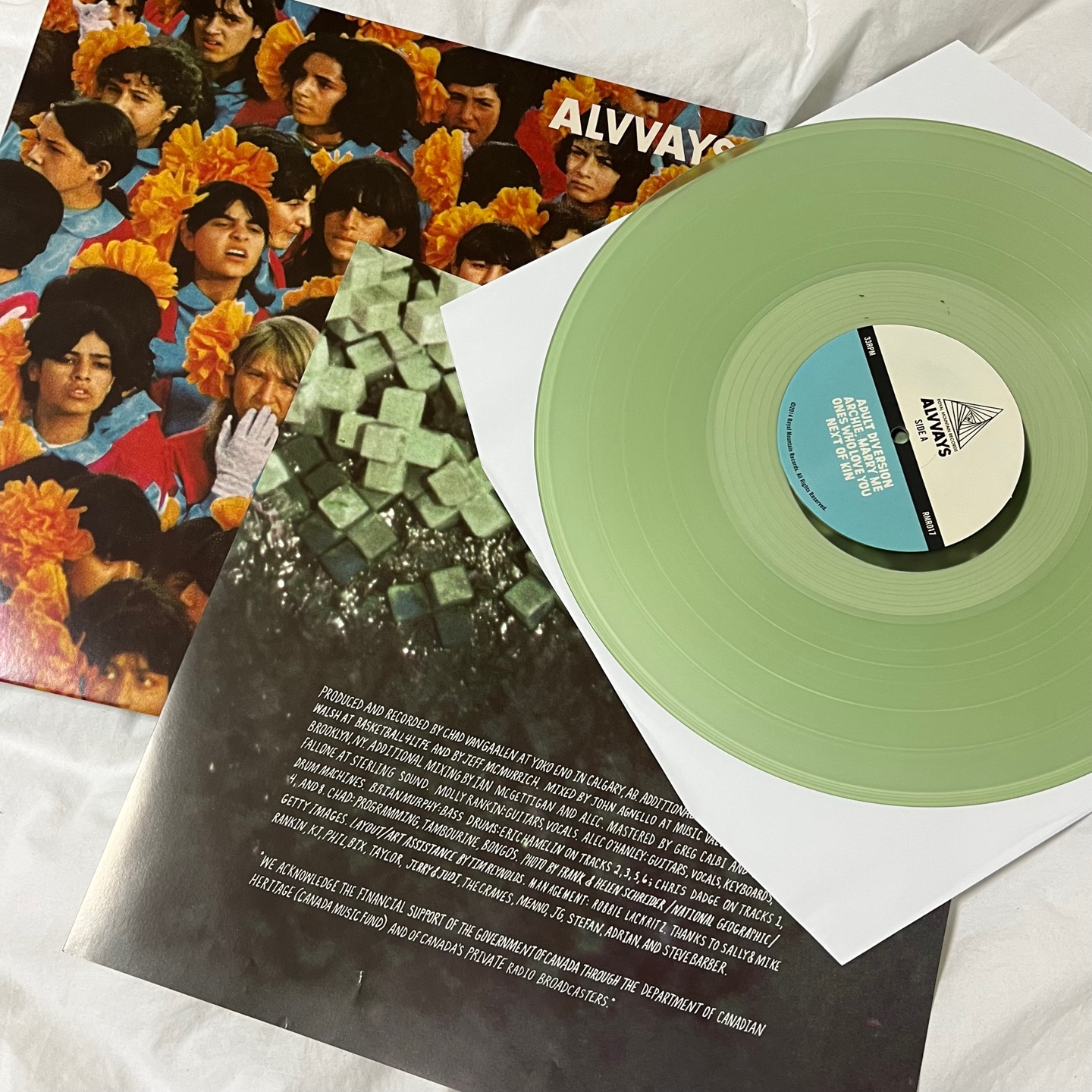 alvvays LP💚