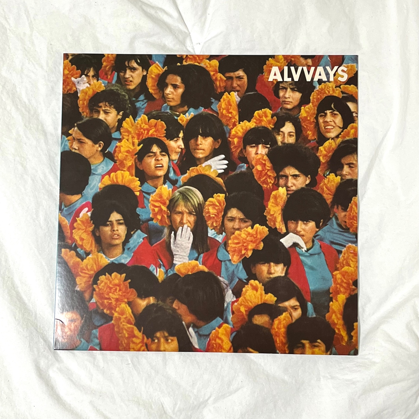 alvvays LP💚