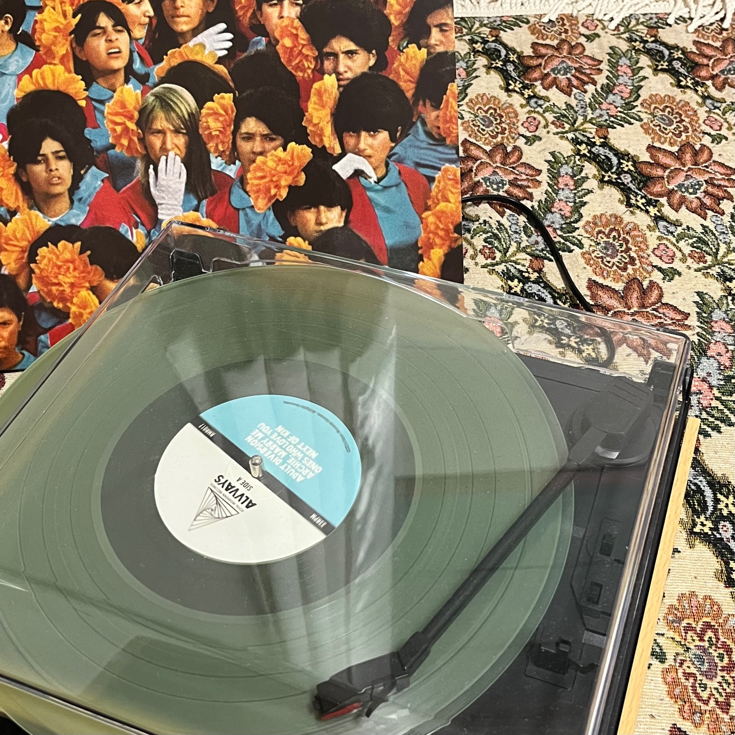 alvvays LP💚