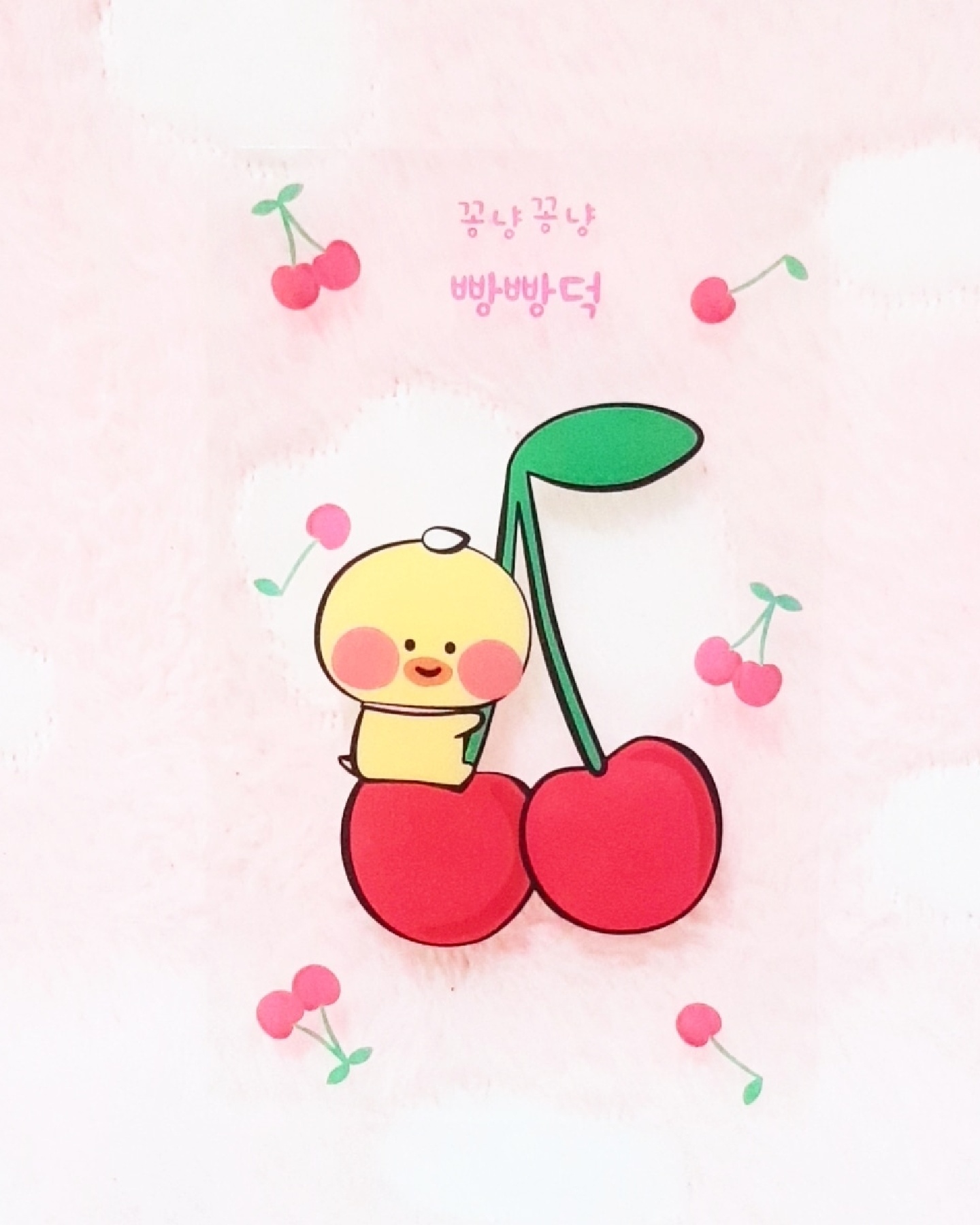 꽁냥꽁냥 체리🍒