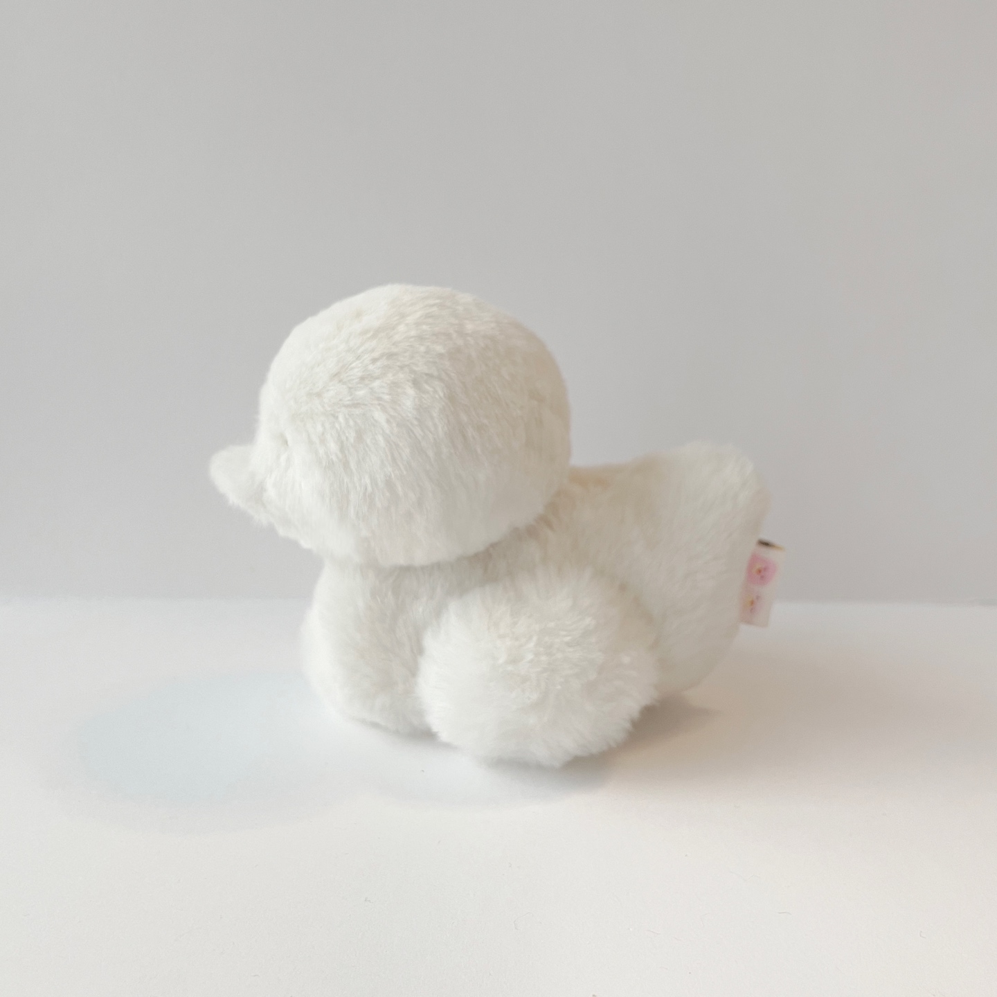 눈오리