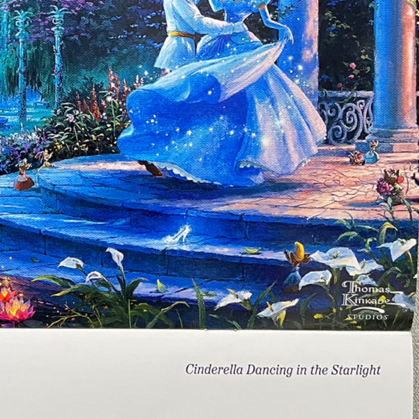 🗓️23년 1월🏰💫