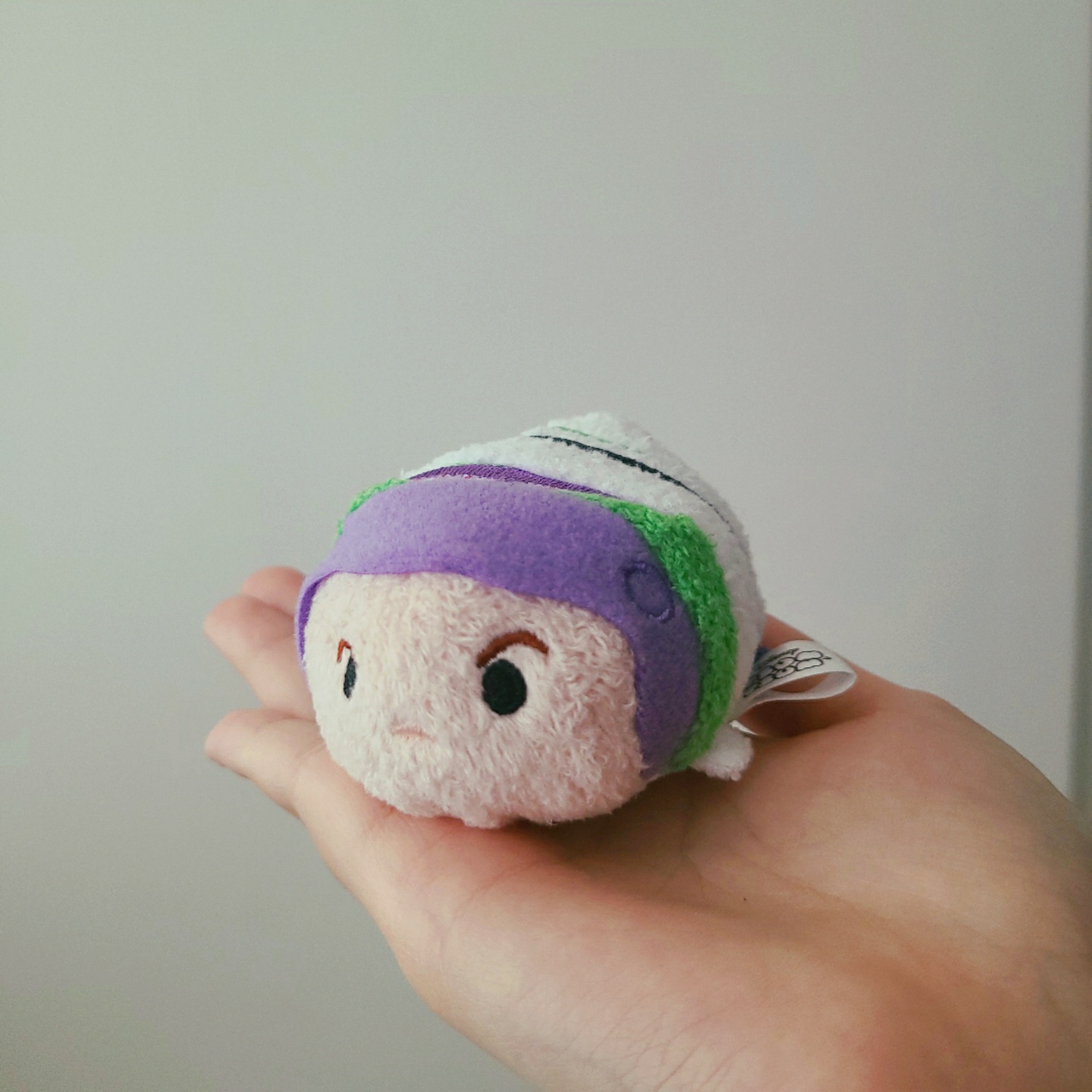 버즈 썸썸인형