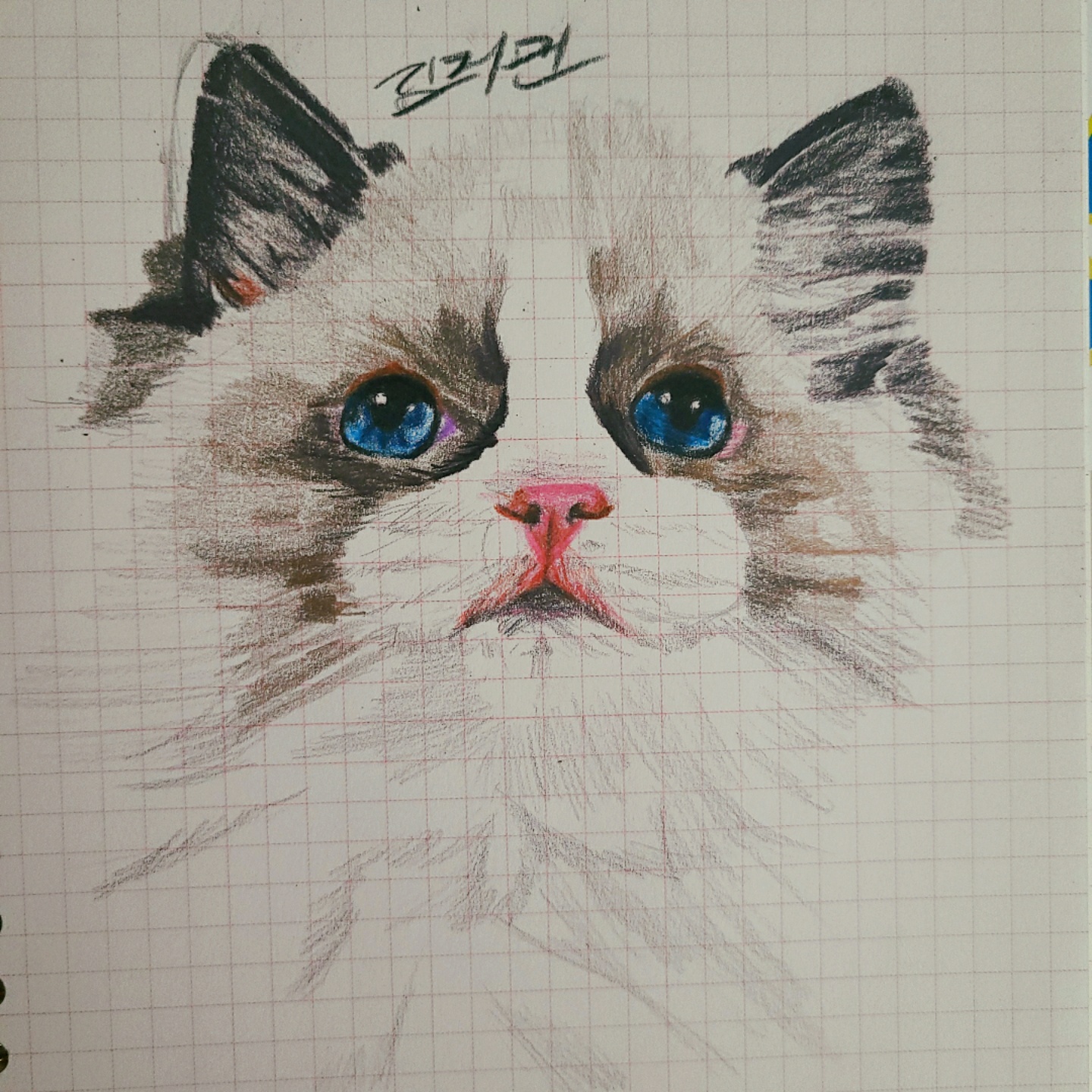 고양이 색연필화