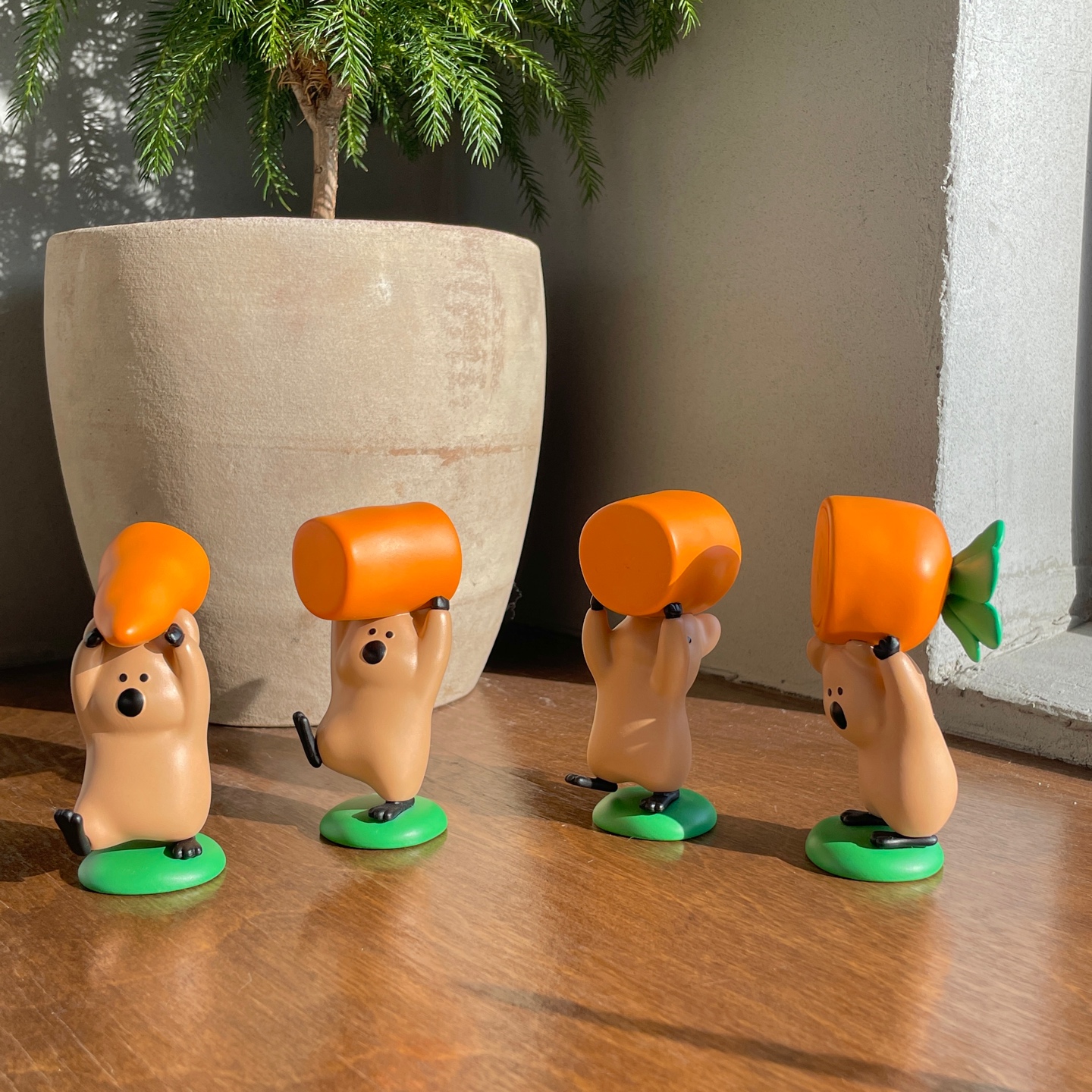 [작소캐]🥕Carrot quokkas🥕