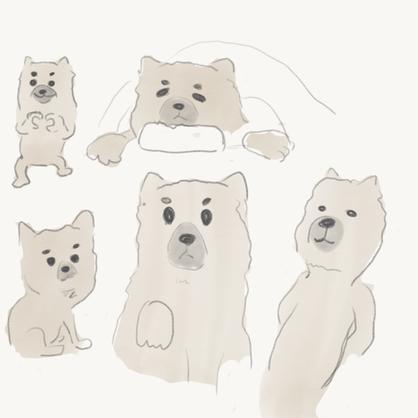 푸나의 일상