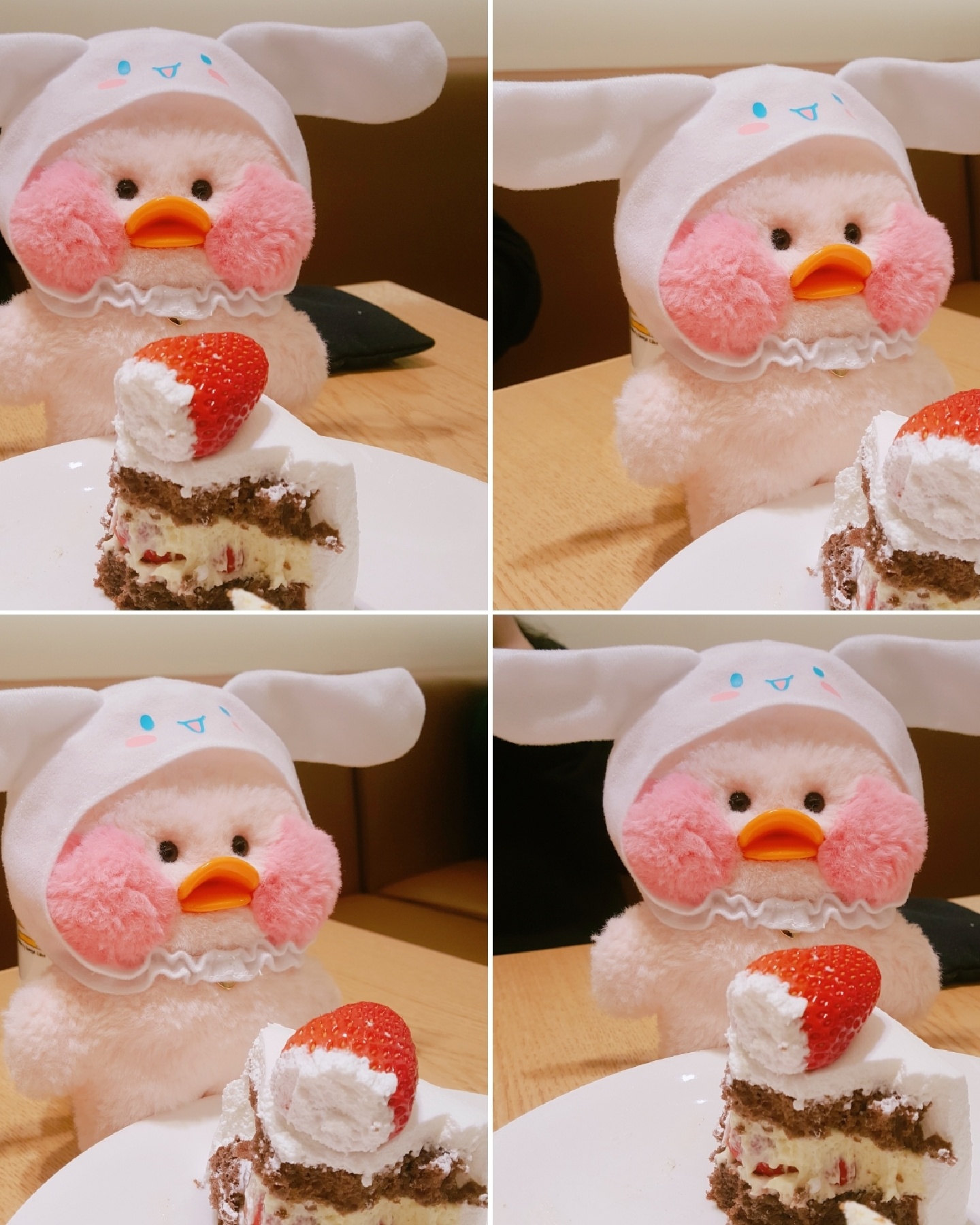 뇸뇸 케잌 먹방