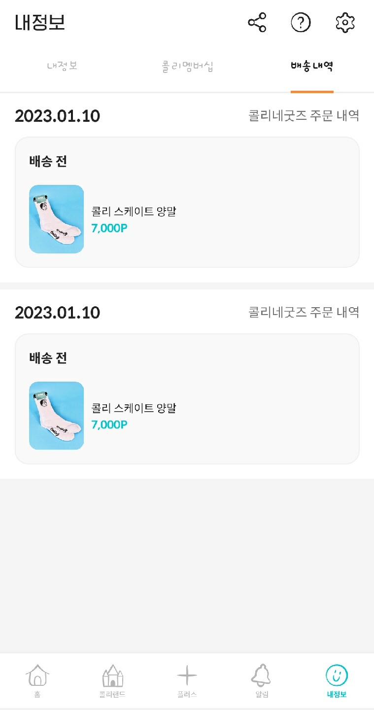 콜리네 굿즈 콜리 스케이트 양말