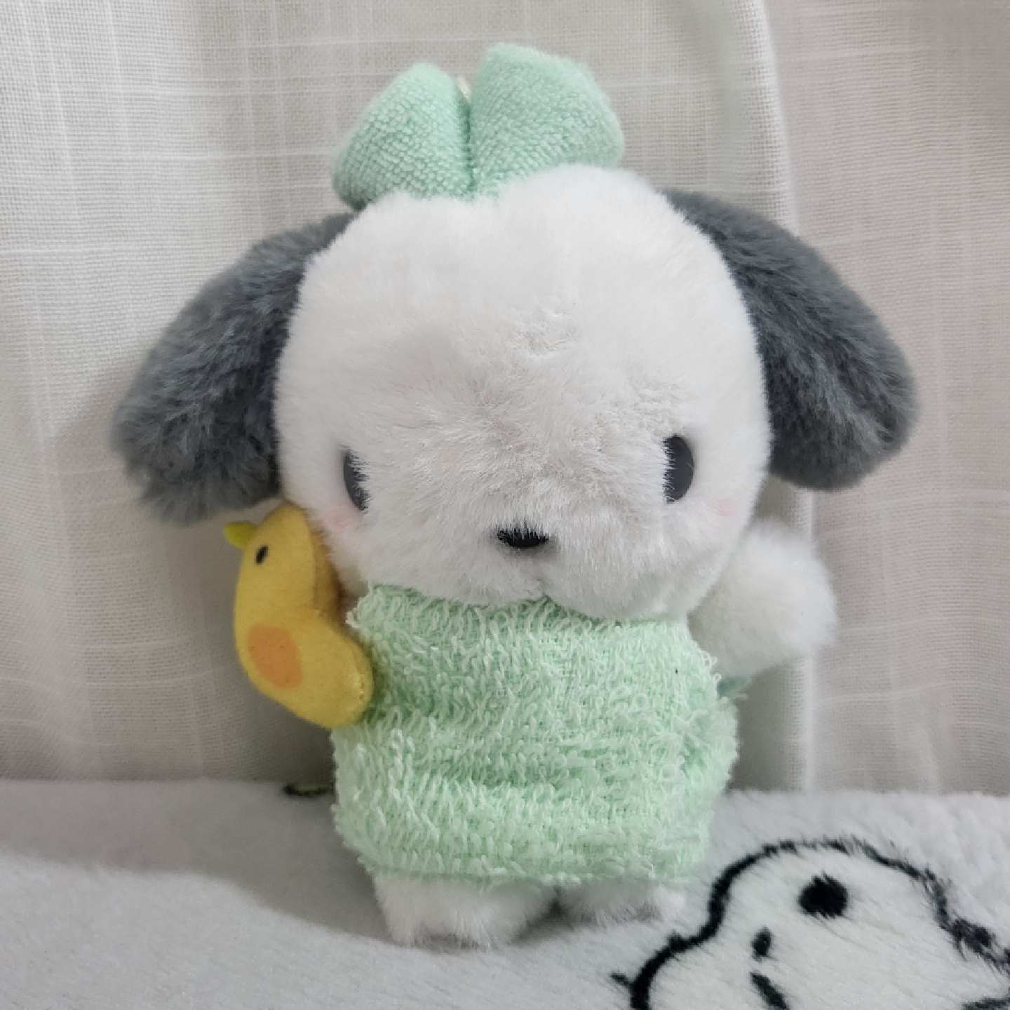 포챠코가 목욕을 한다구?!!?!