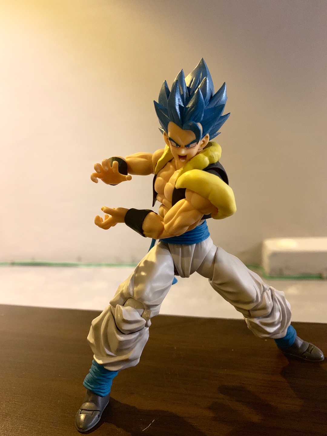 S.H.Figuarts 드래곤볼 슈퍼 극장판 "브로리"의 오지터