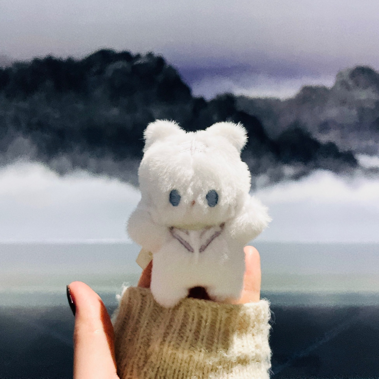 백호의 기상