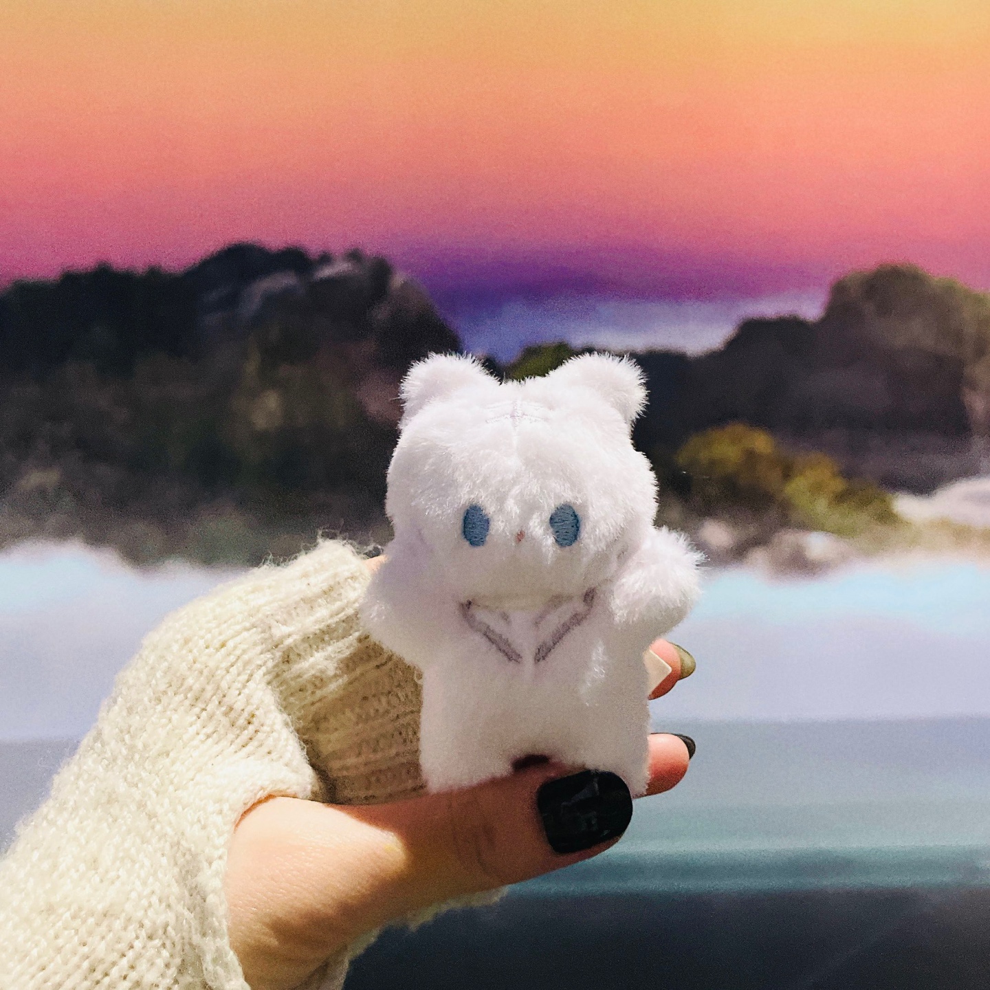 백호의 기상