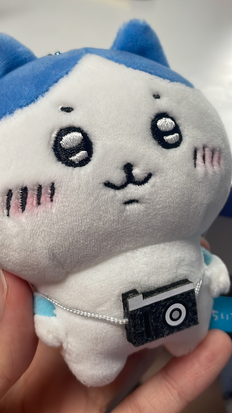 찰칵!