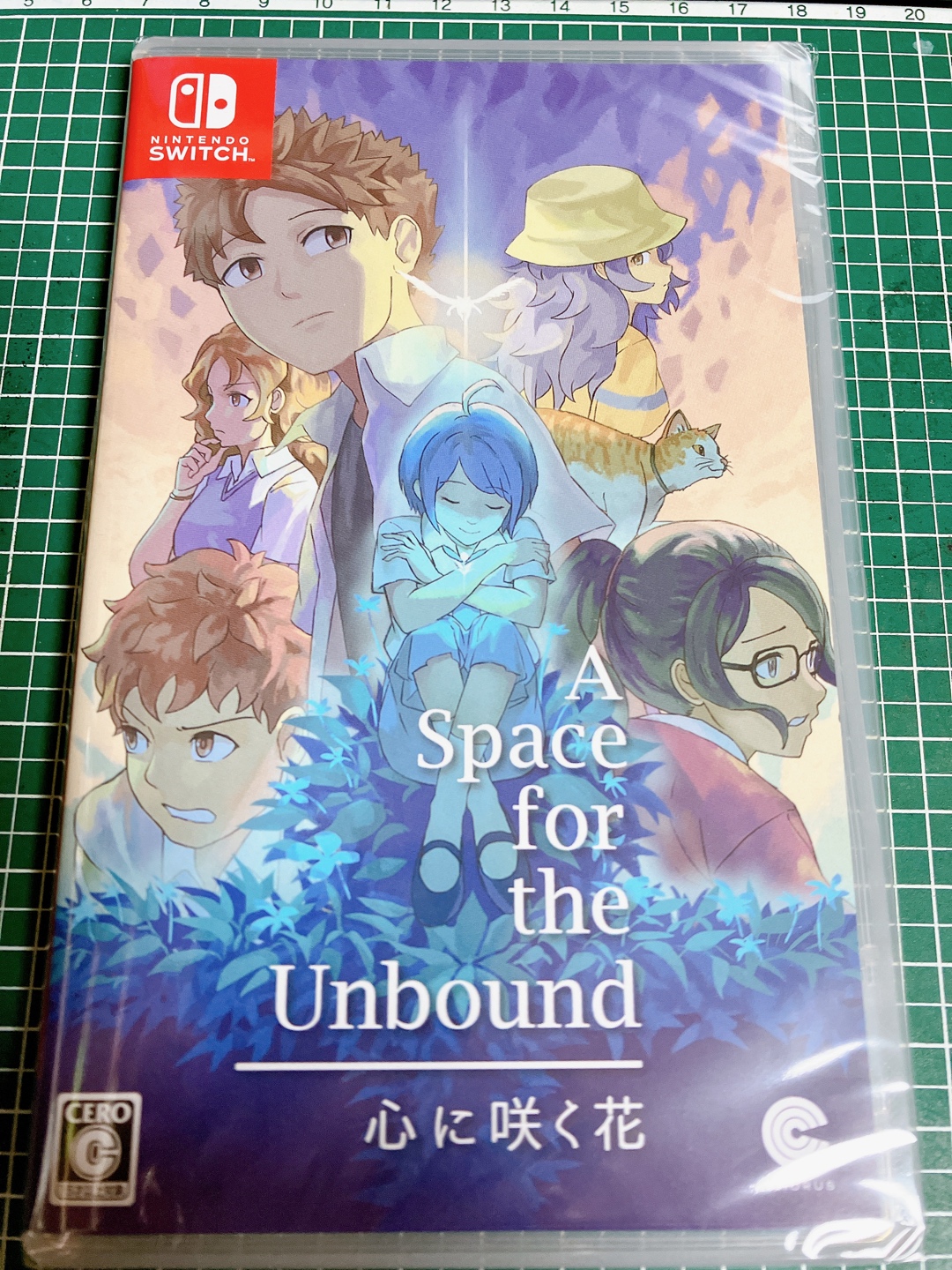 A Space For The Unbound (묶이지 않은 자들을 위한 우주) 
