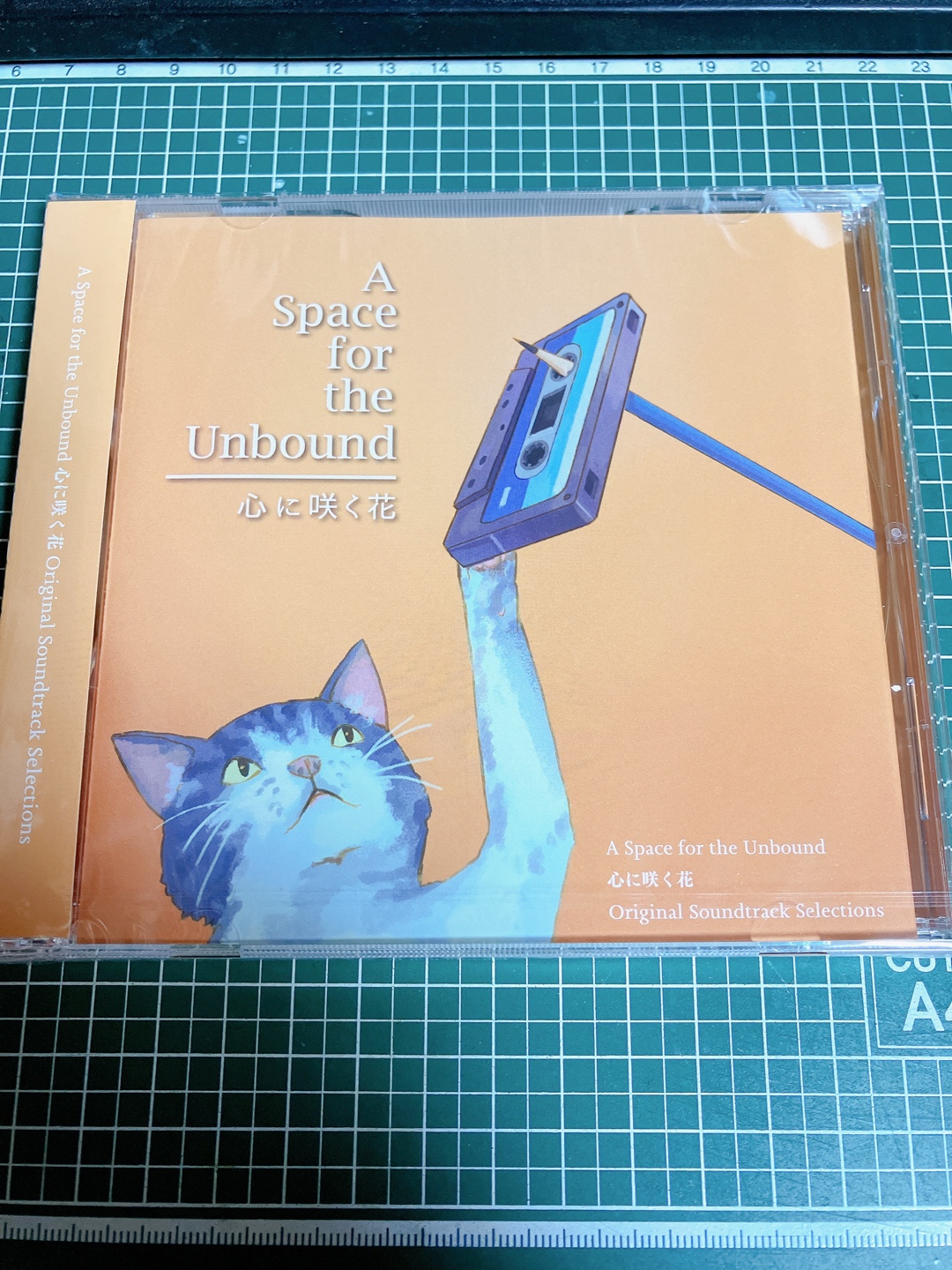 A Space For The Unbound (묶이지 않은 자들을 위한 우주) 