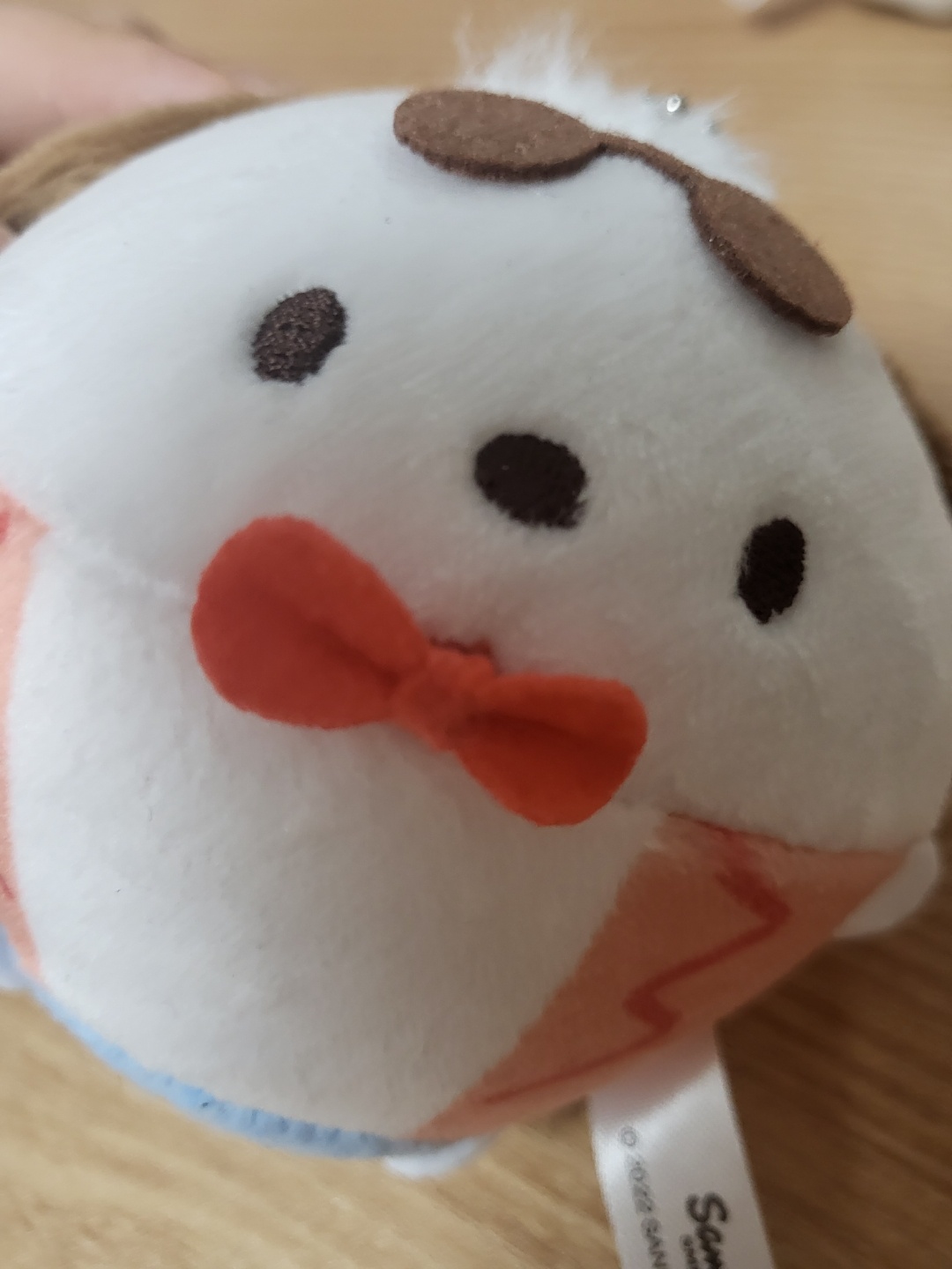 마다카스 포챠코