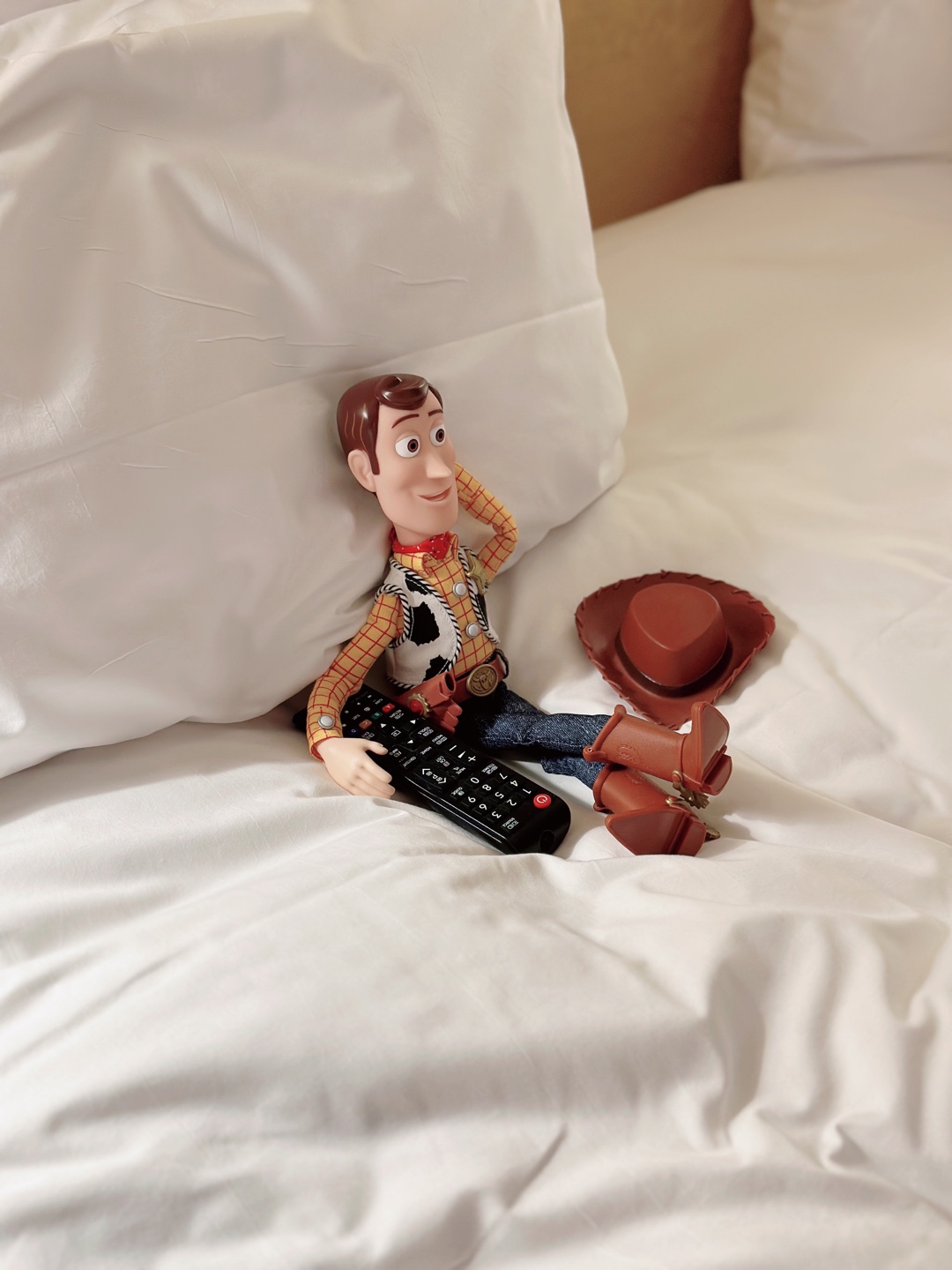 🤠 호캉스 우디 🌝