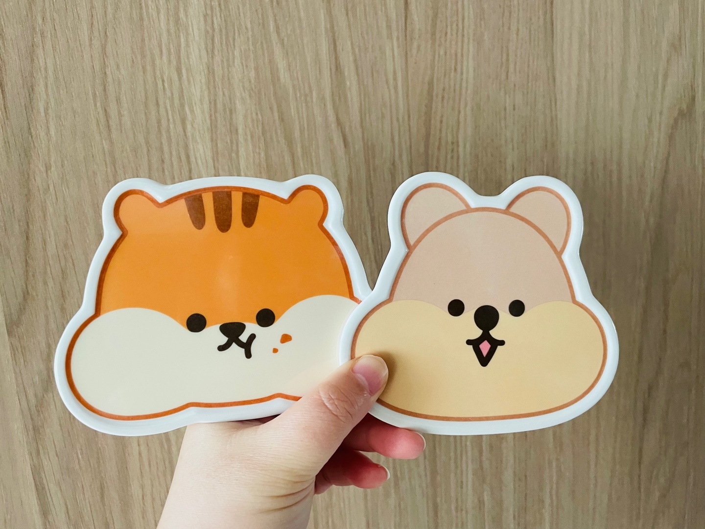 코스터