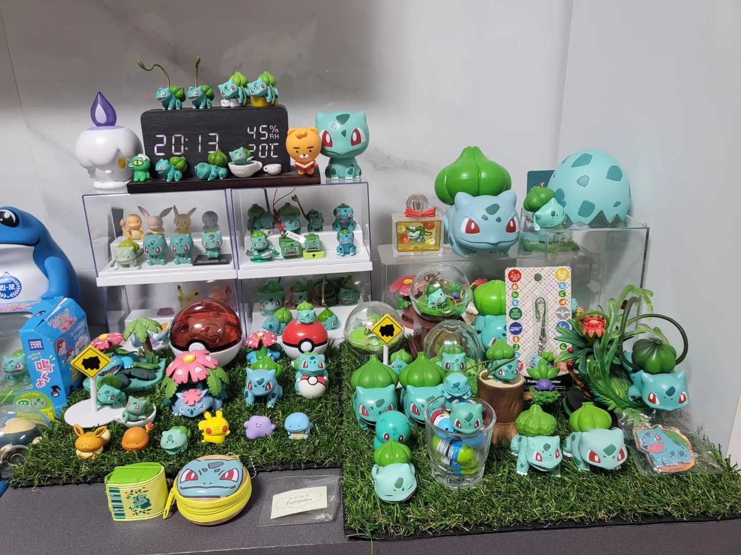 이상해씨💚