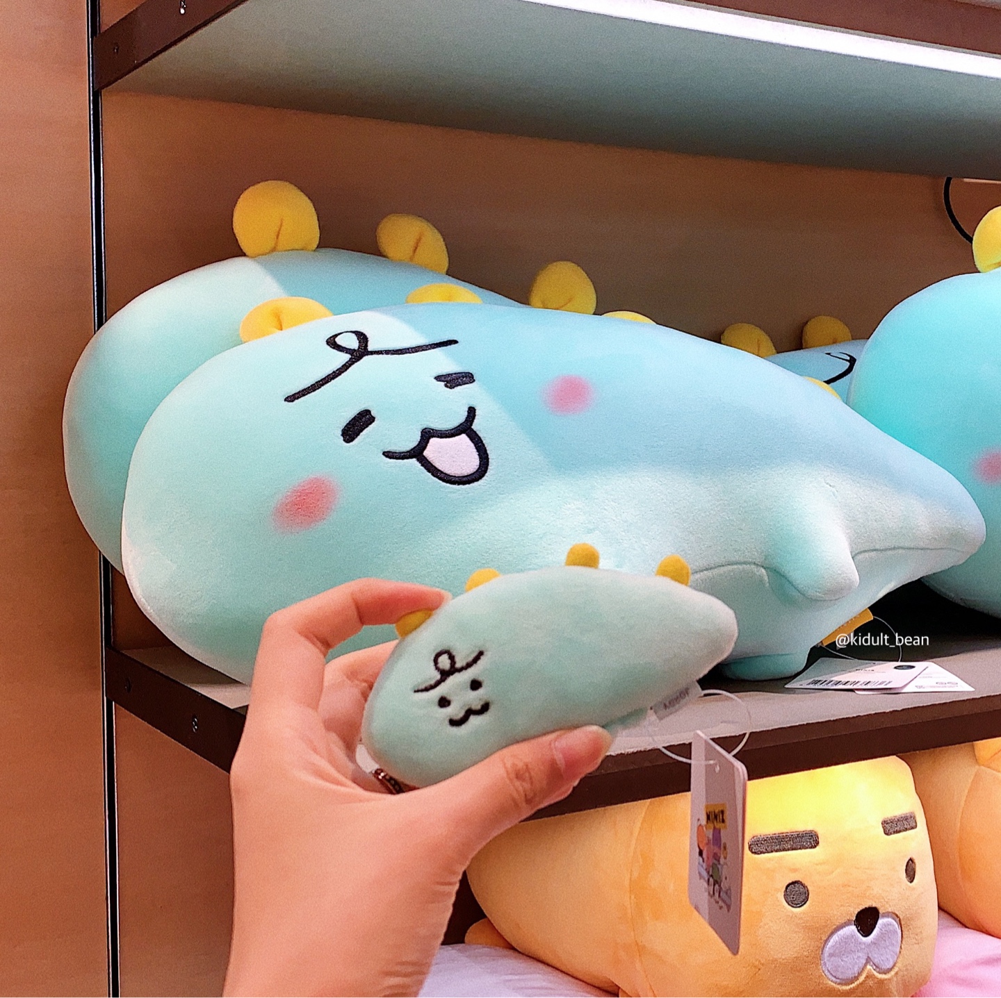 니니즈 죠르디