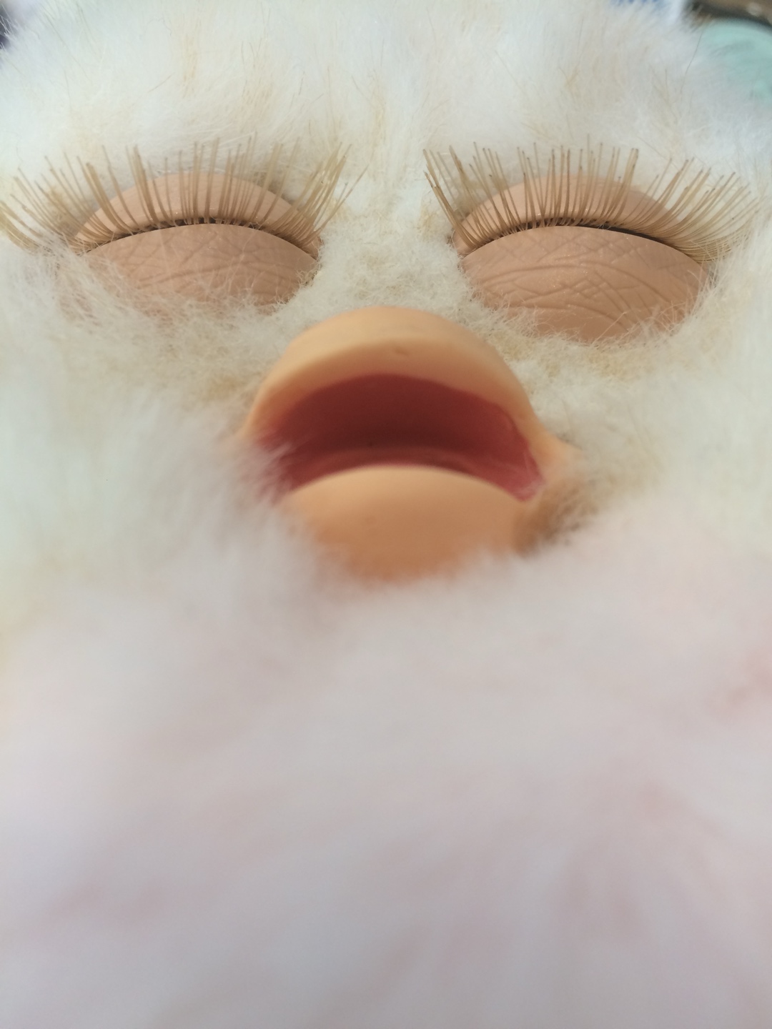 잠든 2005년 퍼비 