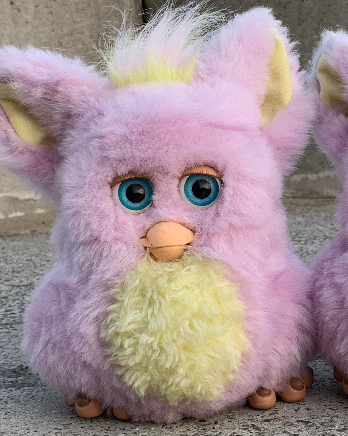 Funky furby