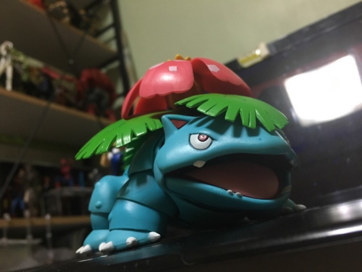 이상해꽃