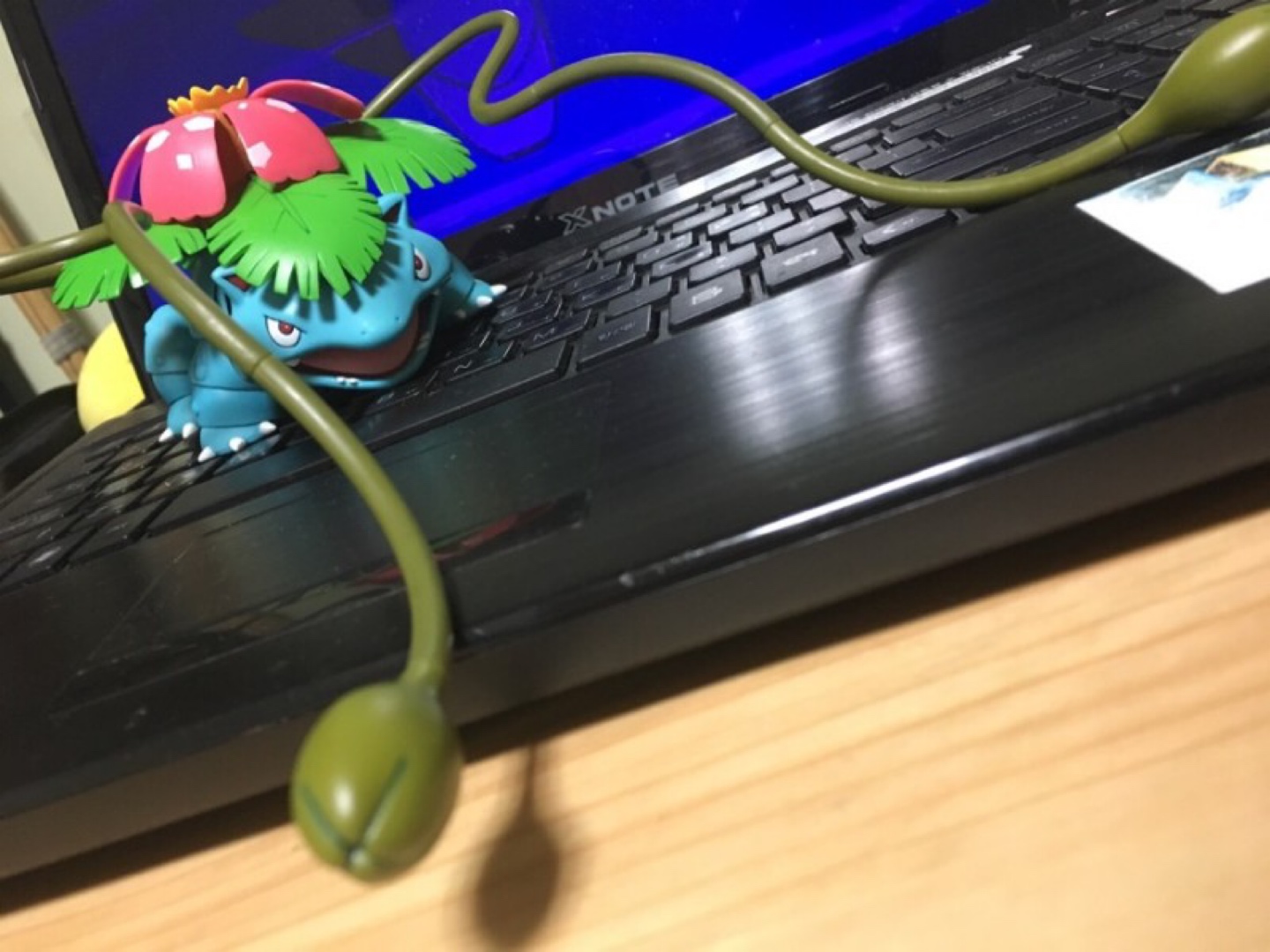 이상해꽃