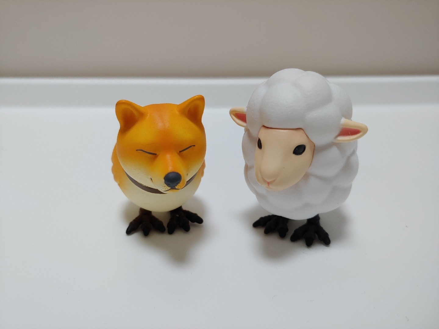 개새 귀여우옹