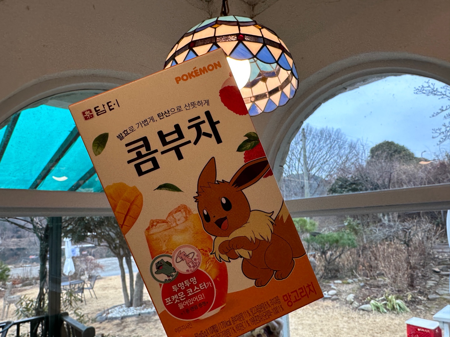 [포켓몬] 담터 콤부차 망고리치 🥭