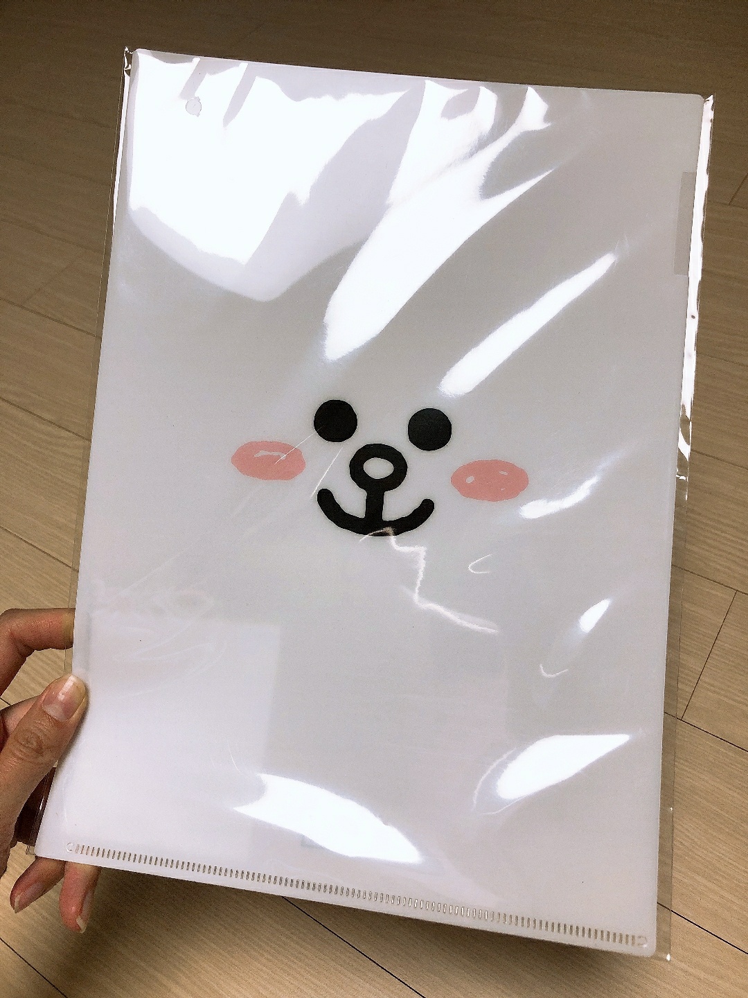 라인프렌즈 코니 굿즈