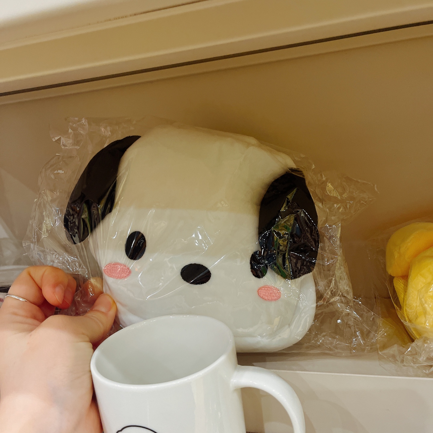우리집 주변은 캐세권!!!