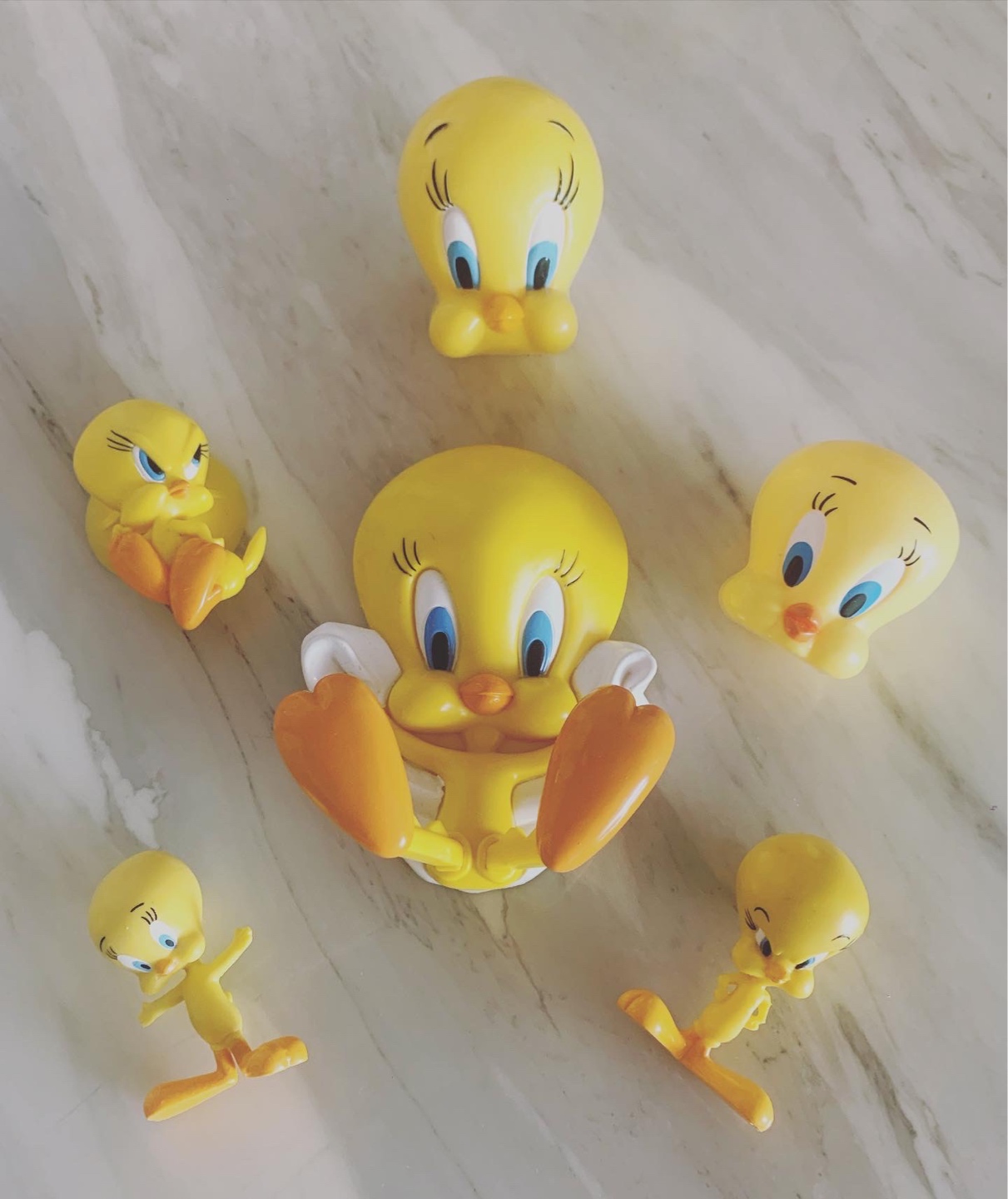 노랑노랑 루니툰💛