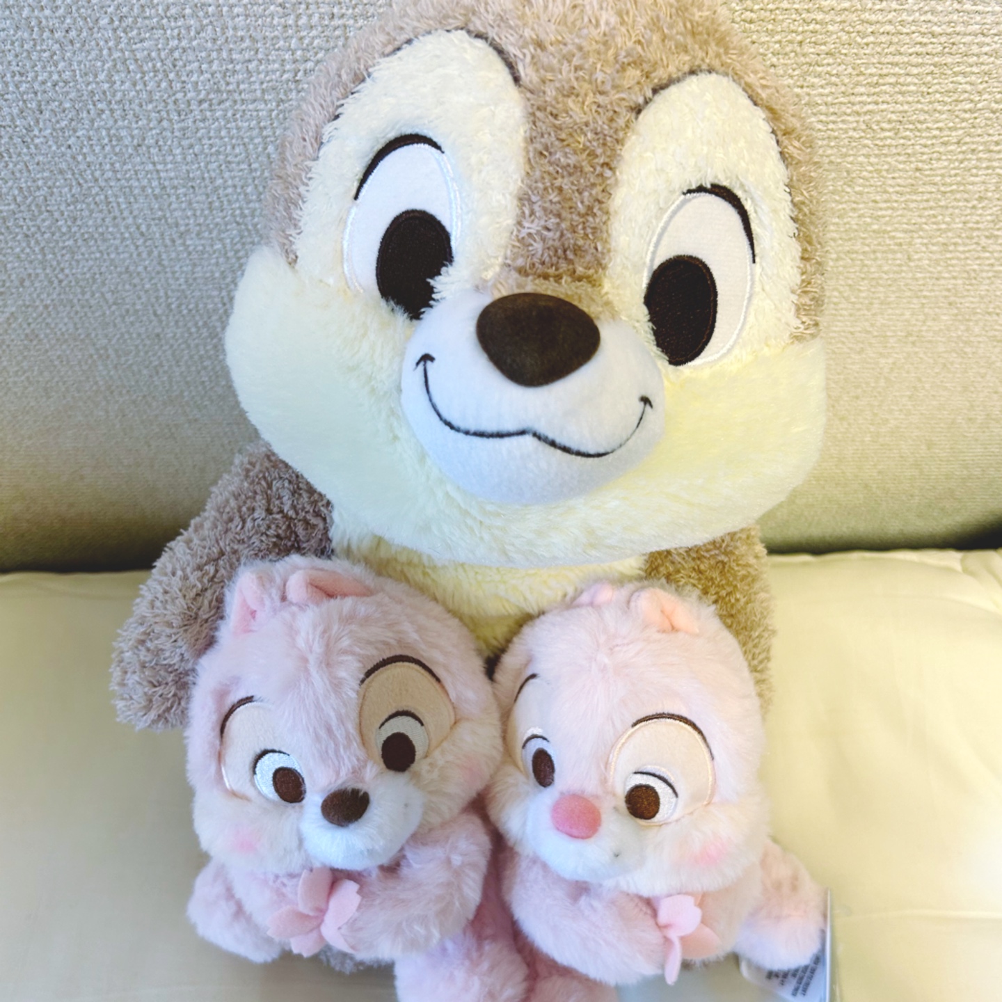 대왕칩과 아기벚꽃칩데