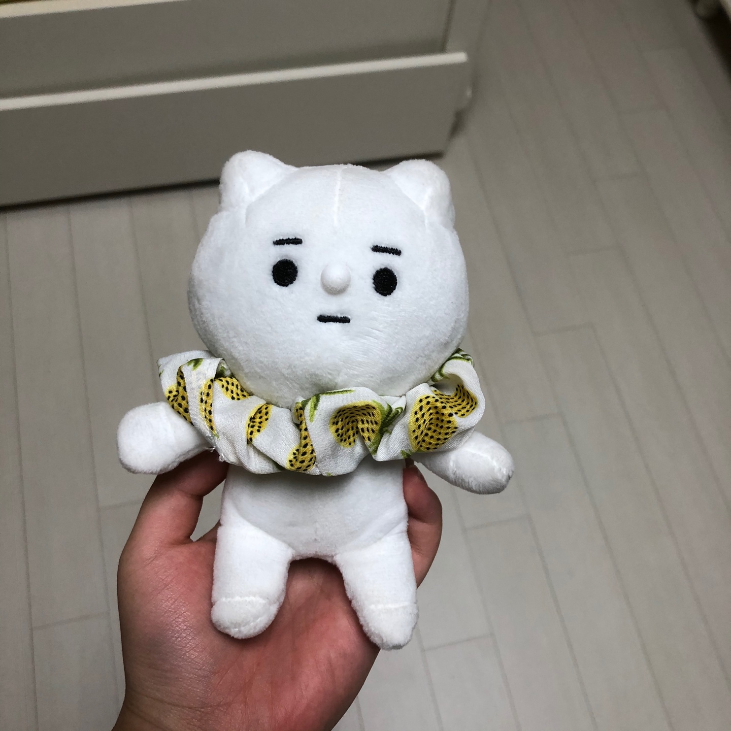 파인애플 곰돌