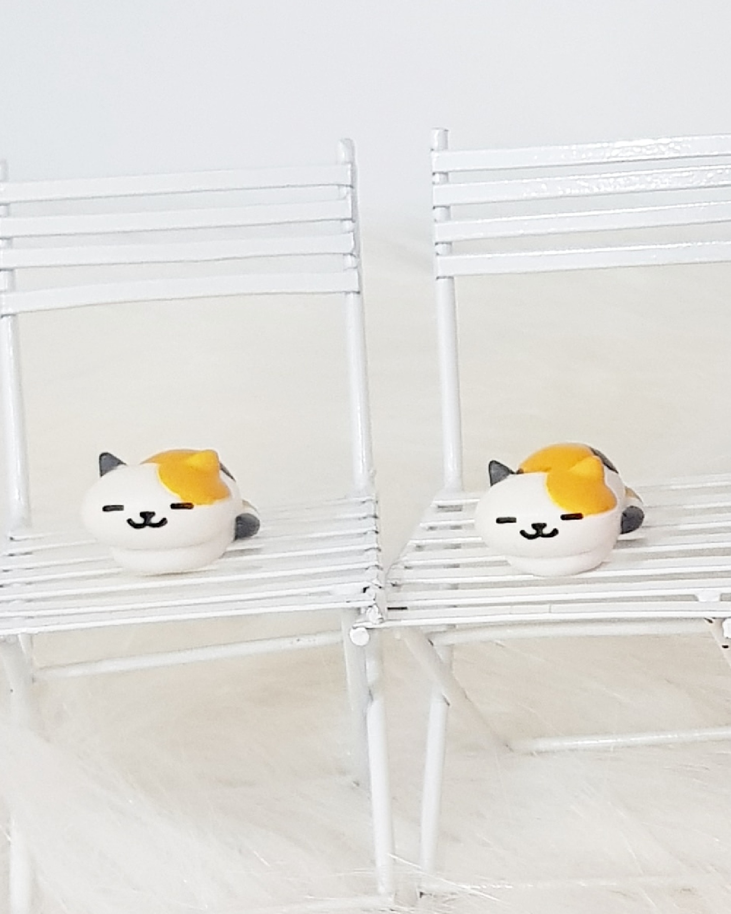 냥냥이들과 함께🐈