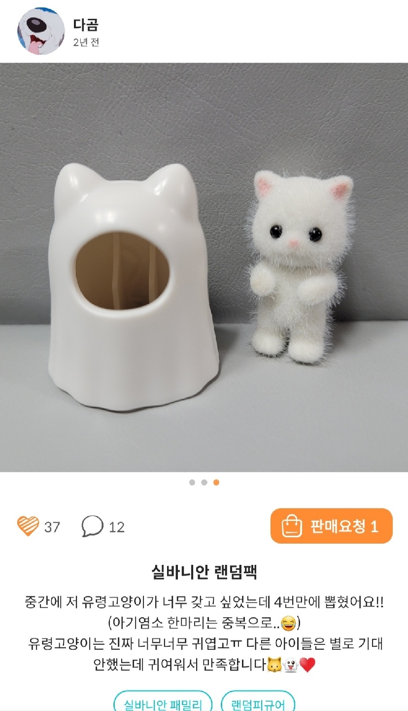 사진 도용