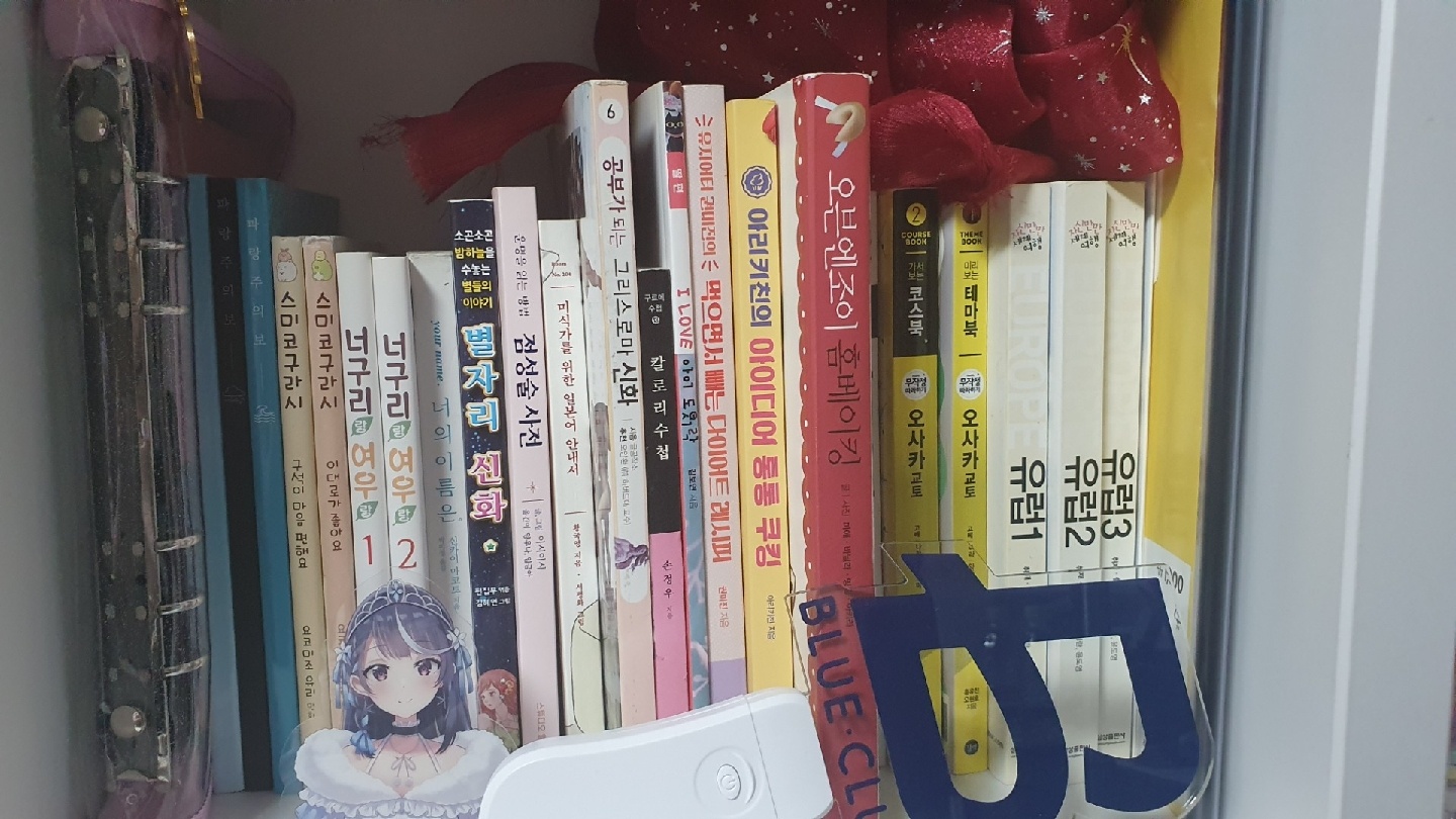 책장 꾸미는 중인데..