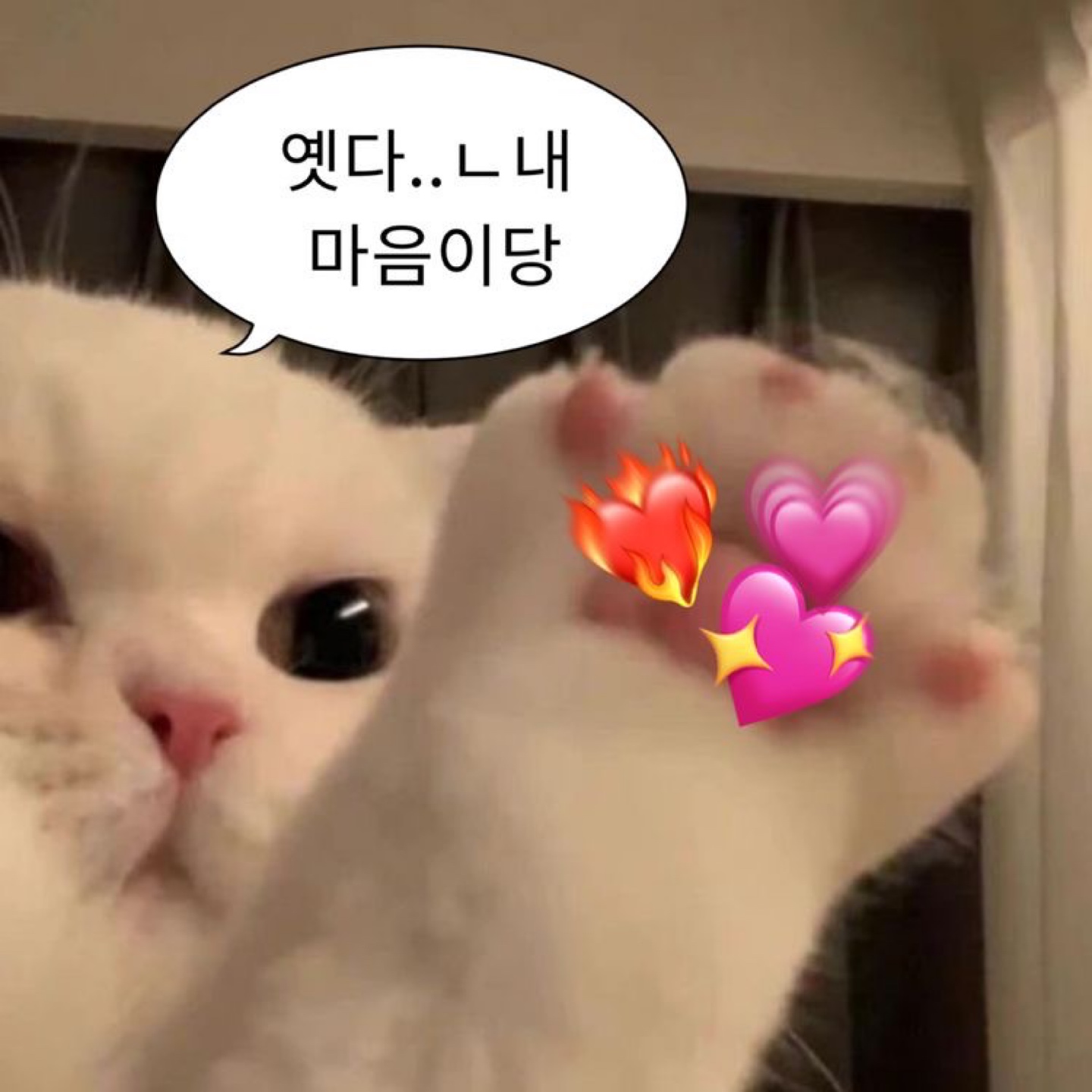 🌸2월의 덕질 리뷰🌸