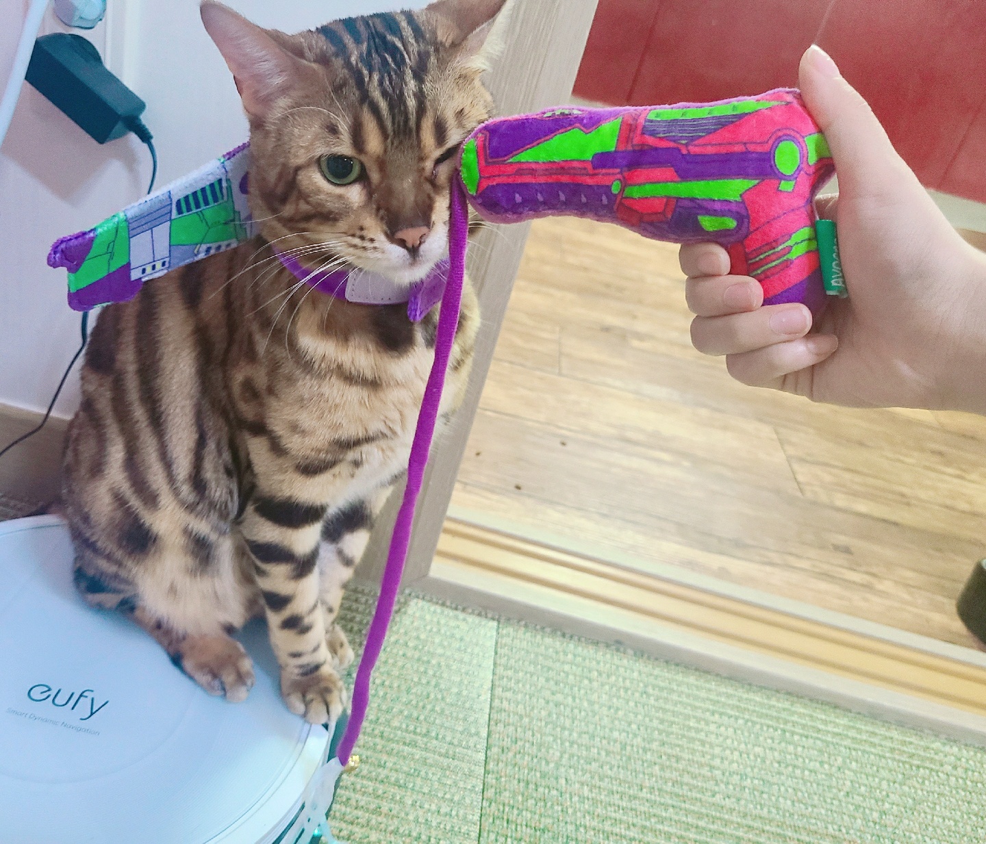 버즈고냥이