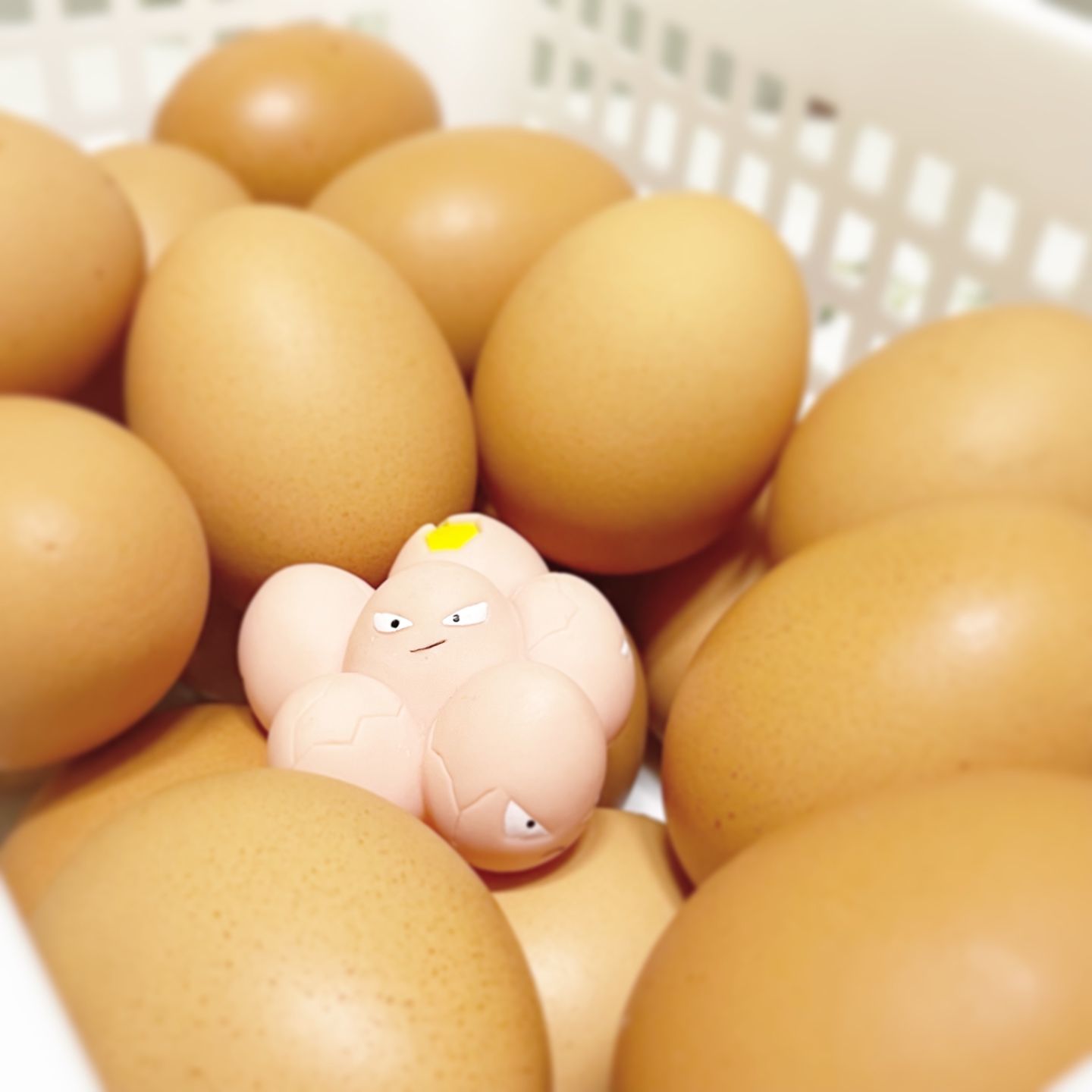 아라리 알알