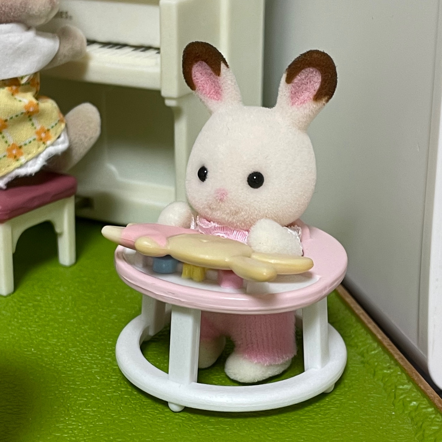 다람쥐 생일파티🐿️🎉🎂